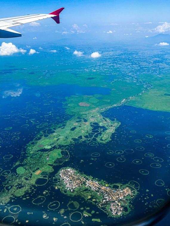 Environment visual for Wetlands